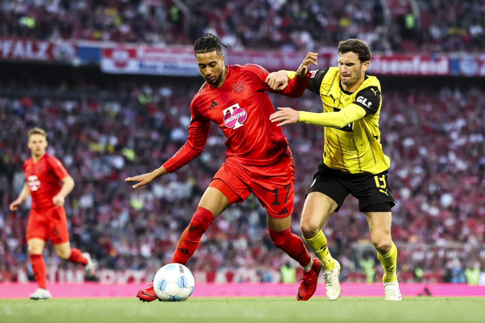 共享欢乐的 共享欢乐的